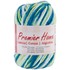 Picture of Premier Yarns Home Cotton Yarn - Multi-Poolside