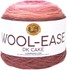 Picture of Lion Brand Wool-Ease DK Cakes-Forever Young