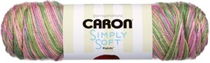 Picture of Caron Simply Soft Paints Yarn