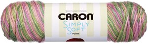 Picture of Caron Simply Soft Paints Yarn-Rose Garden