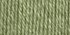 Picture of Patons Canadiana Yarn - Solids-Cherished Green