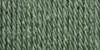 Picture of Patons Canadiana Yarn - Solids-Medium Green Tea