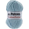 Picture of Patons Canadiana Yarn - Solids-Pale Teal