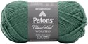 Picture of Patons Classic Wool Yarn-Rich Grass
