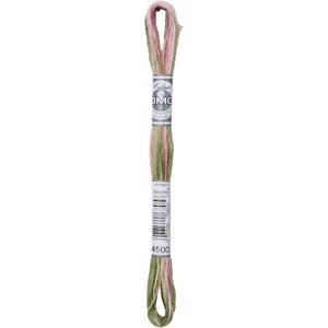 Picture of DMC Coloris 6-Strand Embroidery Cotton Floss 8.7yd