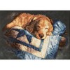 Picture of Dimensions Stamped Counted Cross Stitch Kit 14"X10"-Snooze