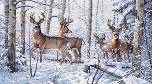 Picture of Dimensions Gold Collection Counted Cross Stitch Kit 18"X10"-Woodland Winter (18 Count)