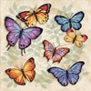Picture of Dimensions Counted Cross Stitch Kit 11"X11"-Butterfly Profusion (14 Count)