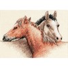 Picture of Dimensions Mini Counted Cross Stitch Kit 7"X5"-Horse Pals (14 Count)