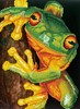 Picture of Diamond Dotz Diamond Embroidery Facet Art Kit 16.5"X12.6"-Green Tree Frog