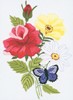 Picture of Janlynn Embroidery Kit 5"X7"-Butterfly & Floral-Stitched In Floss
