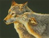 Picture of Dimensions Counted Cross Stitch Kit 14"X11"-Wolf Kis (14 Count)