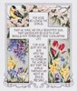 Picture of Janlynn Counted Cross Stitch Kit 10.25"X12.25"-John 3:16-17 (14 Count)