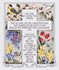 Picture of Janlynn Counted Cross Stitch Kit 10.25"X12.25"-John 3:16-17 (14 Count)