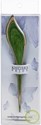 Picture of Knitter's Pride Flora Shawl Stick-Feather - Light Green