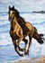 Picture of Collection D'Art Stamped Cross Stitch Kit 49X37cm-Stallion