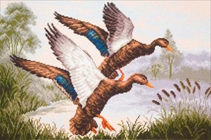 Picture of Collection D'Art Stamped Cross Stitch Kit 37X49cm-Duck Backwater