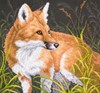 Picture of Collection D'Art Stamped Cross Stitch Kit 41X41cm-Fox