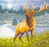 Picture of Collection D'Art Stamped Cross Stitch Kit 41X41cm-Deer