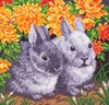 Picture of Collection D'Art Stamped Cross Stitch Kit 41X41cm-Rabbits