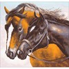 Picture of Collection D'Art Stamped Cross Stitch Kit 41X41cm-Horses