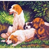 Picture of Collection D'Art Stamped Cross Stitch Kit 41X41cm-Dogs On A Rest