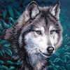 Picture of Collection D'Art Stamped Cross Stitch Kit 41X41cm-Wolf