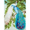 Picture of Collection D'Art Stamped Cross Stitch Kit 37X49cm-Peacocks