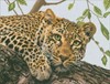 Picture of Collection D'Art Stamped Cross Stitch Kit 37X49cm-Leopard (14 Count)