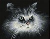 Picture of Diamond Dotz Diamond Embroidery Facet Art Kit 9.8"X12.6"-Shadow Cat