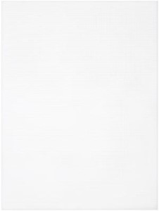 Picture of Cousin Perforated Plastic Canvas 14 Count 8.5"X11"-White