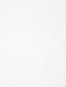 Picture of Cousin Perforated Plastic Canvas 14 Count 8.5"X11" 2/Pkg-Clear