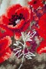 Picture of Vervaco Counted Cross Stitch Kit 13.2"X13.6"-Girl in Poppy Field on Aida (14 Count)