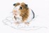 Picture of RTO Counted Cross Stitch Kit 7.5"X4.25"-In Palms - Guinea Pig (16 Count)
