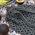Picture of Hoooked Everyday Essentials DIY Kit W/Eco Barbante Yarn-Monza Bag - Aspen