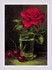 Picture of RIOLIS Counted Cross Stitch Kit 6"X8.25"-Rose And Sweet Cherry (14 Count)
