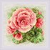 Picture of RIOLIS Counted Cross Stitch Kit 8.75"X8.75"-Begonia (14 Count)