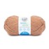 Picture of Lion Brand Basic Stitch Antimicrobial Yarn-Spice