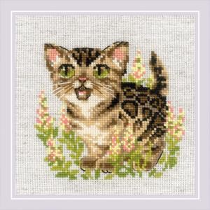 Picture of RIOLIS Counted Cross Stitch Kit 6"X6"-Bengal Kitten (14 Count)