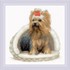 Picture of RIOLIS Counted Cross Stitch Kit 9.75"X9.75"-Yorkshire Terrier