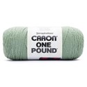 Picture of Caron One Pound Yarn-Succulent