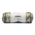 Picture of Caron Simply Soft Freckle Stripes Yarn-Moss