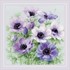Picture of RIOLIS Counted Cross Stitch Kit 11.75"X11.75"-Purple Anemones (14 Count)